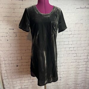 Splendid gray velvet shirt dress size XS